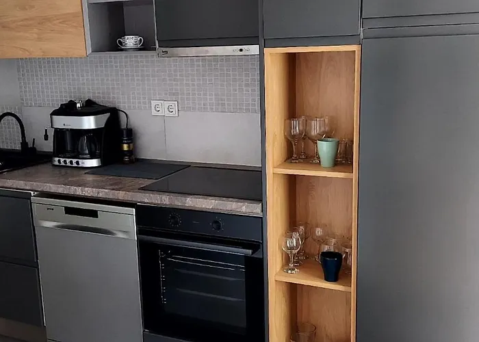 公寓 Cosmopolit By Riba 布拉索夫